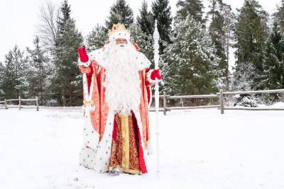 Во Владимирскую область приедет настоящий Дед Мороз