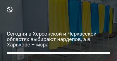 Сегодня в Херсонской и Черкасской областях выбирают нардепов, а в Харькове – мэра