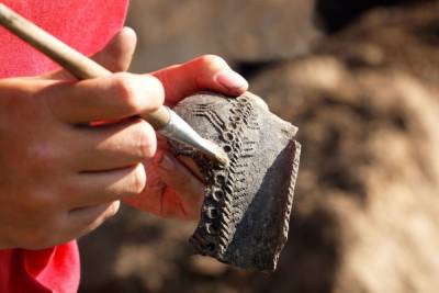 В Любытине создадут учебный археологический раскоп