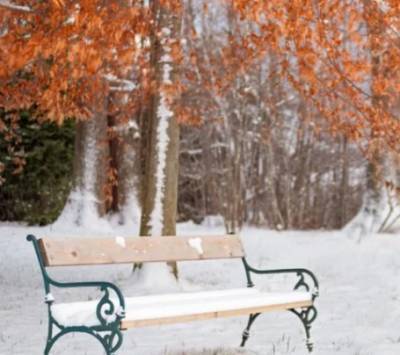 Зима близко: синоптики рассказали, когда в Украине выпадет первый снег