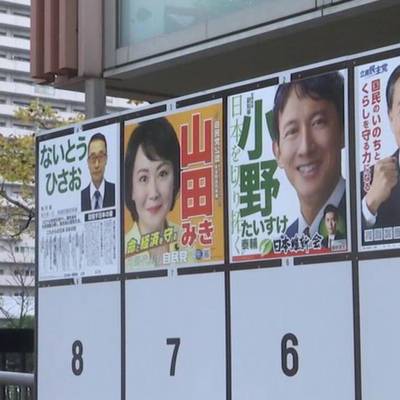 Явка на выборах в нижнюю палату парламента Японии за полдня составила около 21,5%