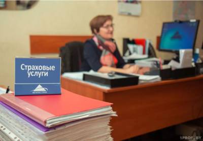 Страхование квартиры и дома в Беларуси: сколько платить, как возмещается ущерб, какие документы нужны
