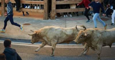 В Испании во время забега быков погиб человек