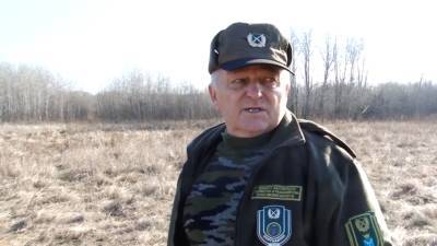 Егерь рассказал подробности обнаружения убитой лосихи в Саратовской области