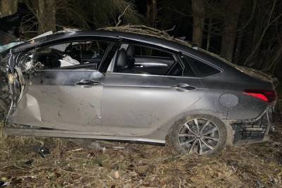 Двое пострадали в Тверской области после столкновения с лосем
