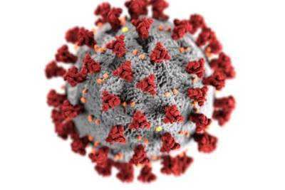 ВОЗ обнародовала данные о заболеваемости коронавирусом в мире