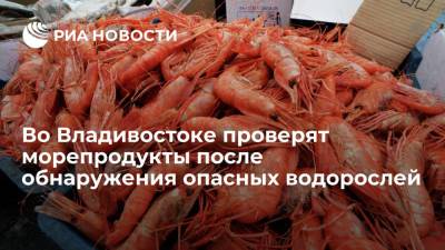 Во Владивостоке проверят морепродукты после массового обнаружения токсичных водорослей