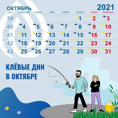 Опубликован календарь с лучшими днями для рыбалки в октябре на территории Ленобласти
