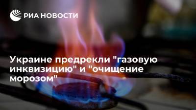 Экономист Кущ предрек Украине "газовую инквизицию"