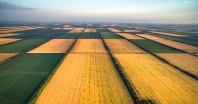 «Реформа земли замедленная»: Зеленский сделал важное заявление
