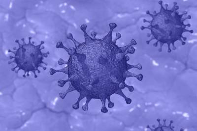 Ученые из США рассказали о новой мутации коронавируса
