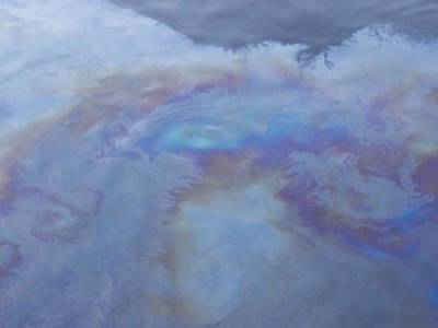 В Южной Калифорнии произошел грозящий экологической катастрофой разлив нефти