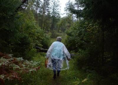 Под Смоленском в лесу заблудились две женщины