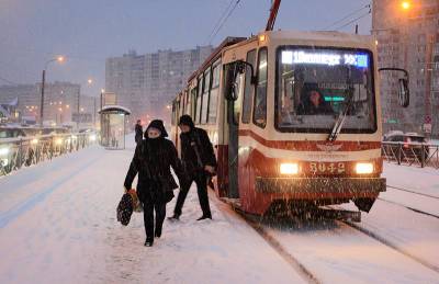 В Барнауле вместо бабьего лета выпал первый снег