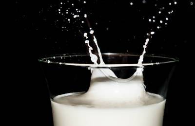 Цена закупки молока продолжает бить рекорды