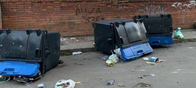Вандалы громят мусорные баки в Петрозаводске