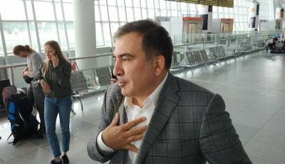 Саакашвили въехал в Грузию в вентиляционной кабине трейлера по перевозке зелени – СМИ