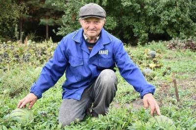 Рязанский пенсионер в одиночку ухаживает за пасекой и выращивает арбузы
