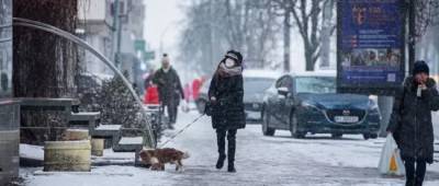 Северное полушарие ждет очень суровая зима, которая может вызвать хаос на энергорынке, — Bloomberg