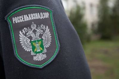 В Ивановской области оштрафован мужчина, который вывез из региона лес без документов