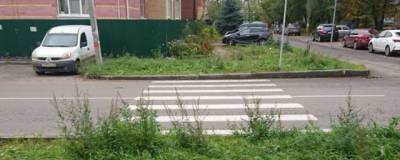 В Костроме объяснили появление ведущей в никуда «зебры» на улице Красноармейской