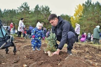 150 именных деревьев появилось в Нижнекамске в честь родившихся в 2021 году детей