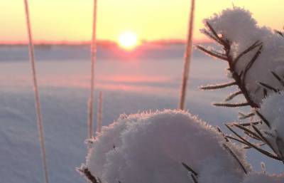 Аномально снежная зима ожидается в России