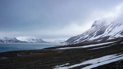 Первые 56 человек получили гектары в Арктике
