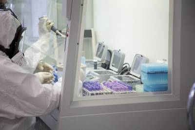 3033 человека умерли от коронавируса в Новосибирской области