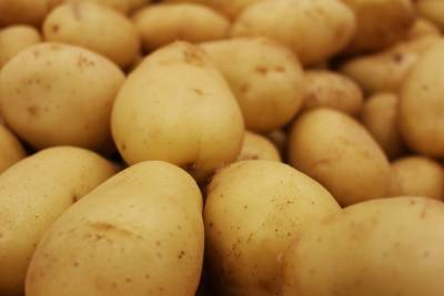 В Астрахани цена на картофель достигла 50 рублей за килограмм