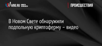 В Новом Свете обнаружили подпольную криптоферму – видео