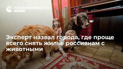 Эксперт назвал города, где проще всего снять жилье россиянам с животными