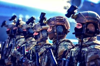 «Не намерены игнорировать дерзость»: на провокации Киева, Будапешт ответил учениями спецназа