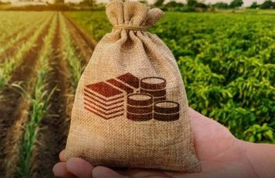 Названы источники финансирования для небольших агропроизводителей