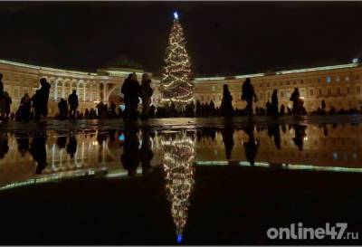 В этом году на Дворцовой площади в Петербурге могут установить живую ель