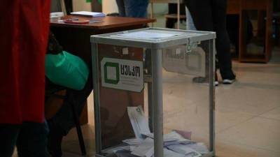 В Грузии прошёл первый тур местных выборов