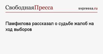 Памфилова рассказал о судьбе жалоб на ход выборов