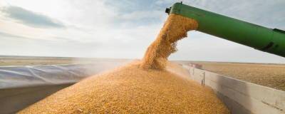 В России повысили экспортные пошлины на зерно