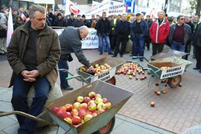 Польша пожертвовала своим сельским хозяйством ради антироссийской политики