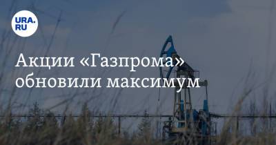 Акции «Газпрома» обновили максимум