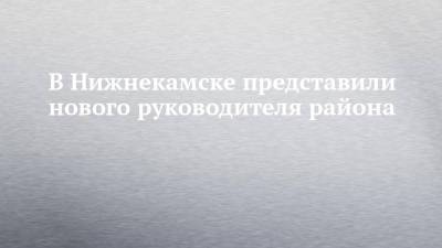 В Нижнекамске представили нового руководителя района