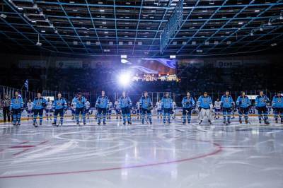 У них лапки: хоккеисты «Сибири» посвятят матч защите животных