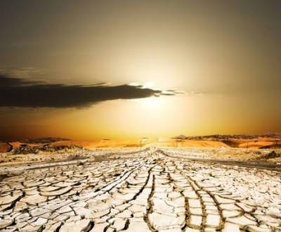 Израиль объявил глобальный конкурс стартапов по борьбе с опустыниванием