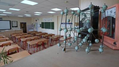 Число школьных классов на удалёнке в Петербурге снизилось на треть