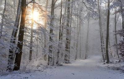 Синоптики: предстоящая зима в России будет аномально снежной