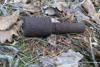 Ручная граната РГД была обезврежена в Смоленском районе