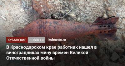 В Краснодарском крае работник нашел в виноградниках мину времен Великой Отечественной войны