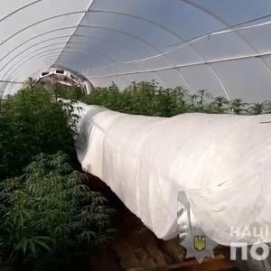 У жителя Запорожской области изъяли наркотики на сумму более 3 миллионов гривен. Фото. Видео