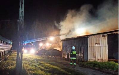 Поджог птицефермы и взлом магазина: в Польше задержали трех украинцев