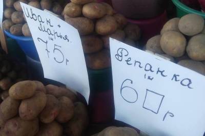 Власти ДНР займутся регулированием цены на картофель в Донецке